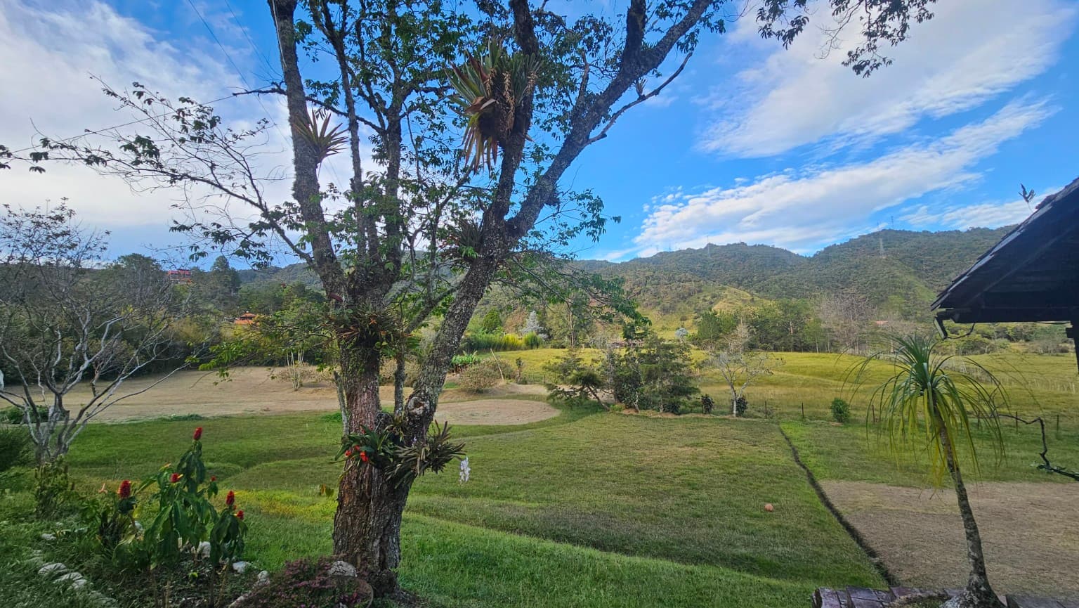 Green landscape seen from La Julia