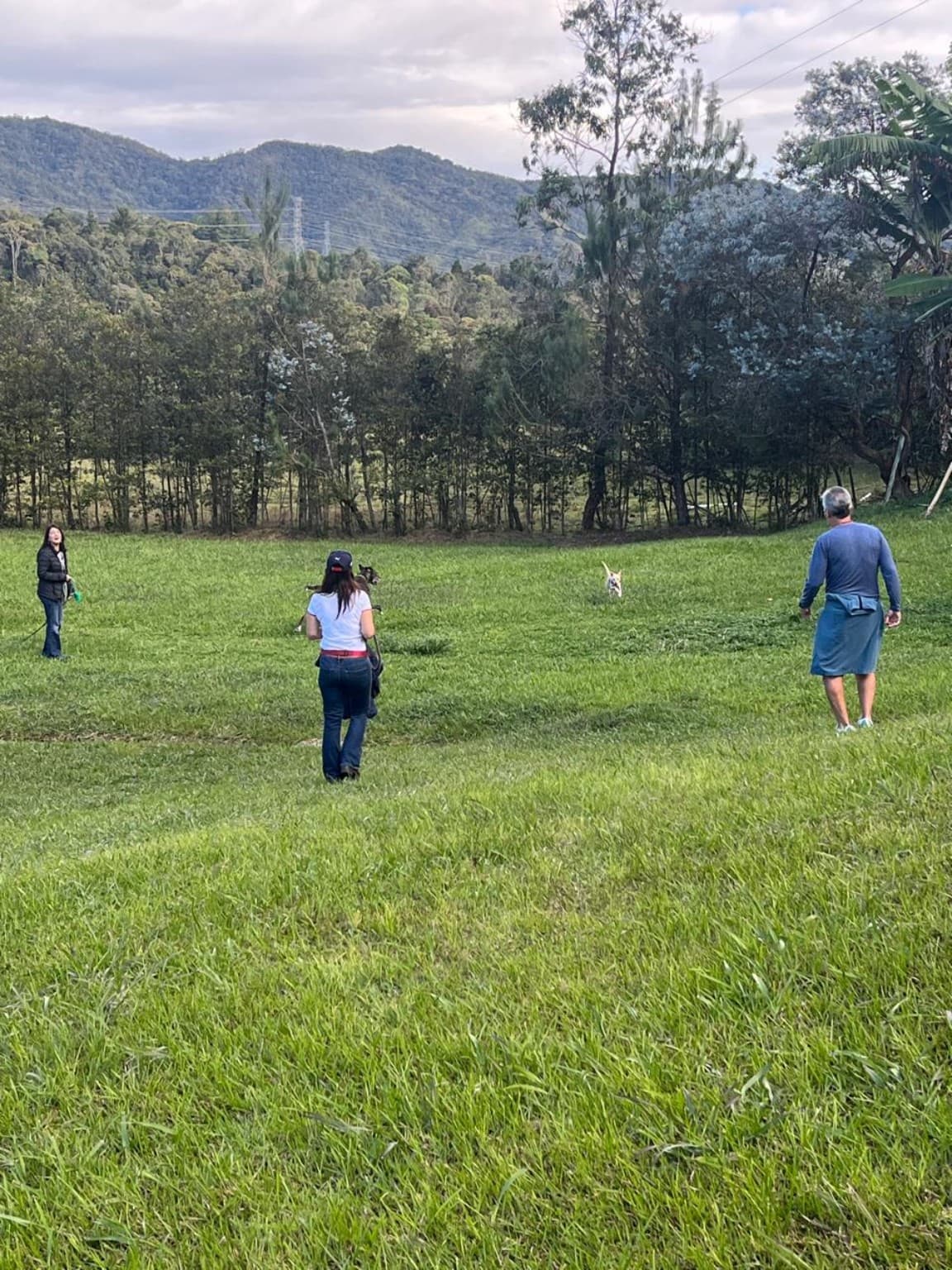 Guests and a dog on La Julia's lawn