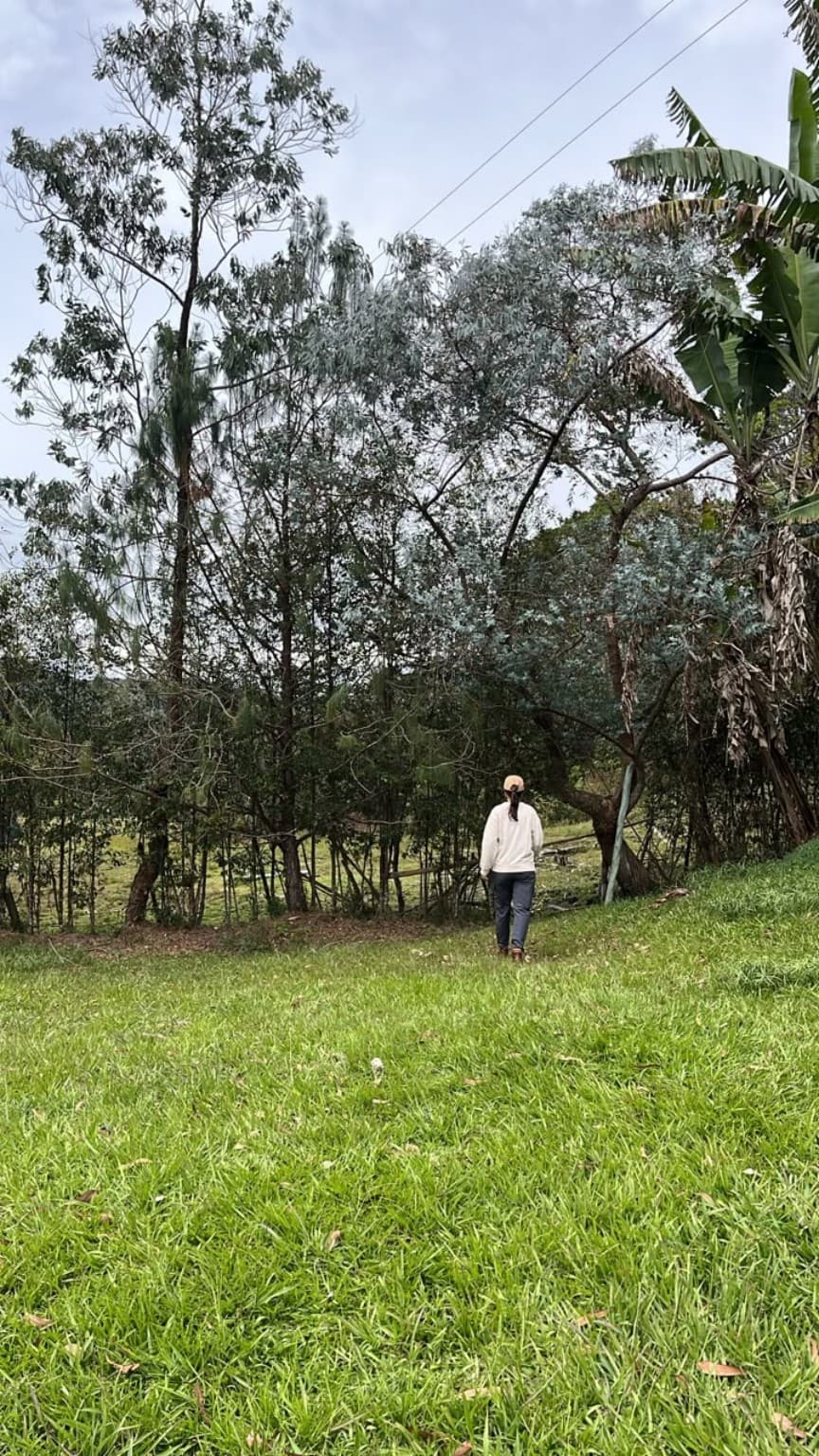 A guest walking along a tree-lined path at La Julia