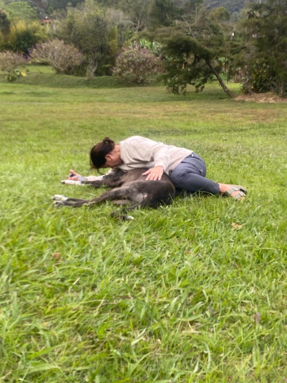 A guest spending time with a young horse at La Julia