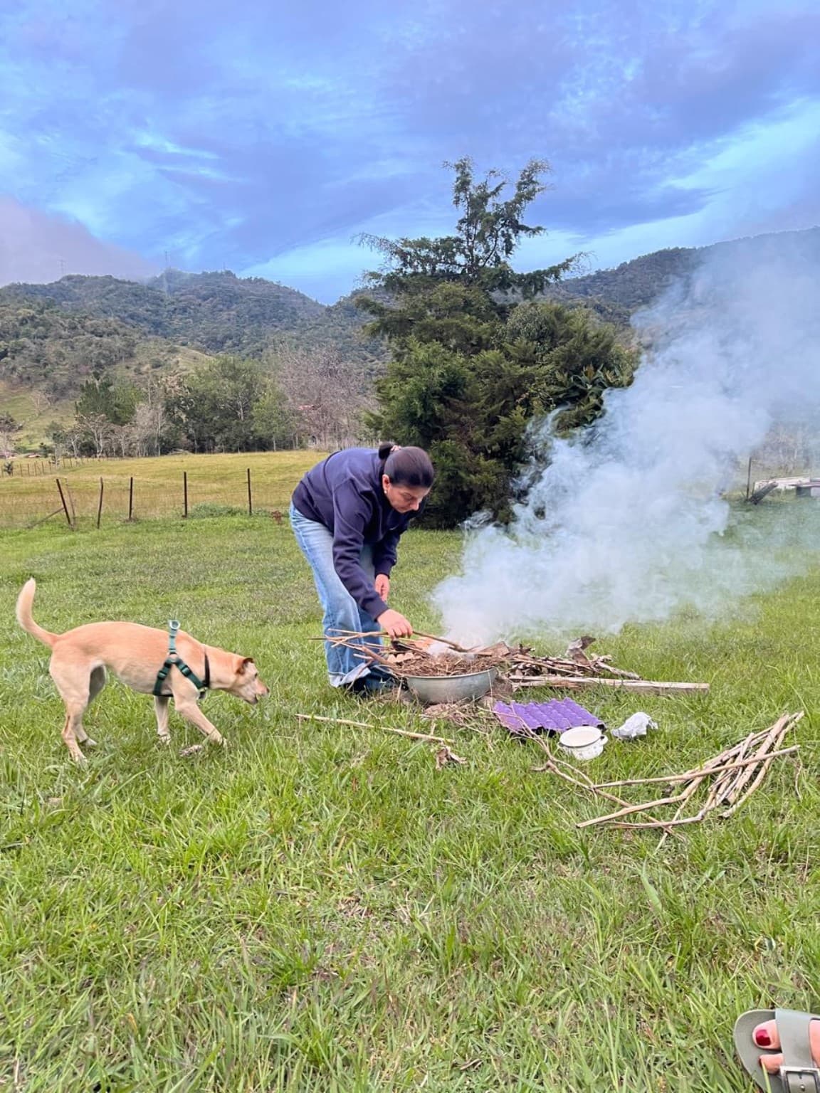 Preparing the bonfire with a dog on La Julia's lawn